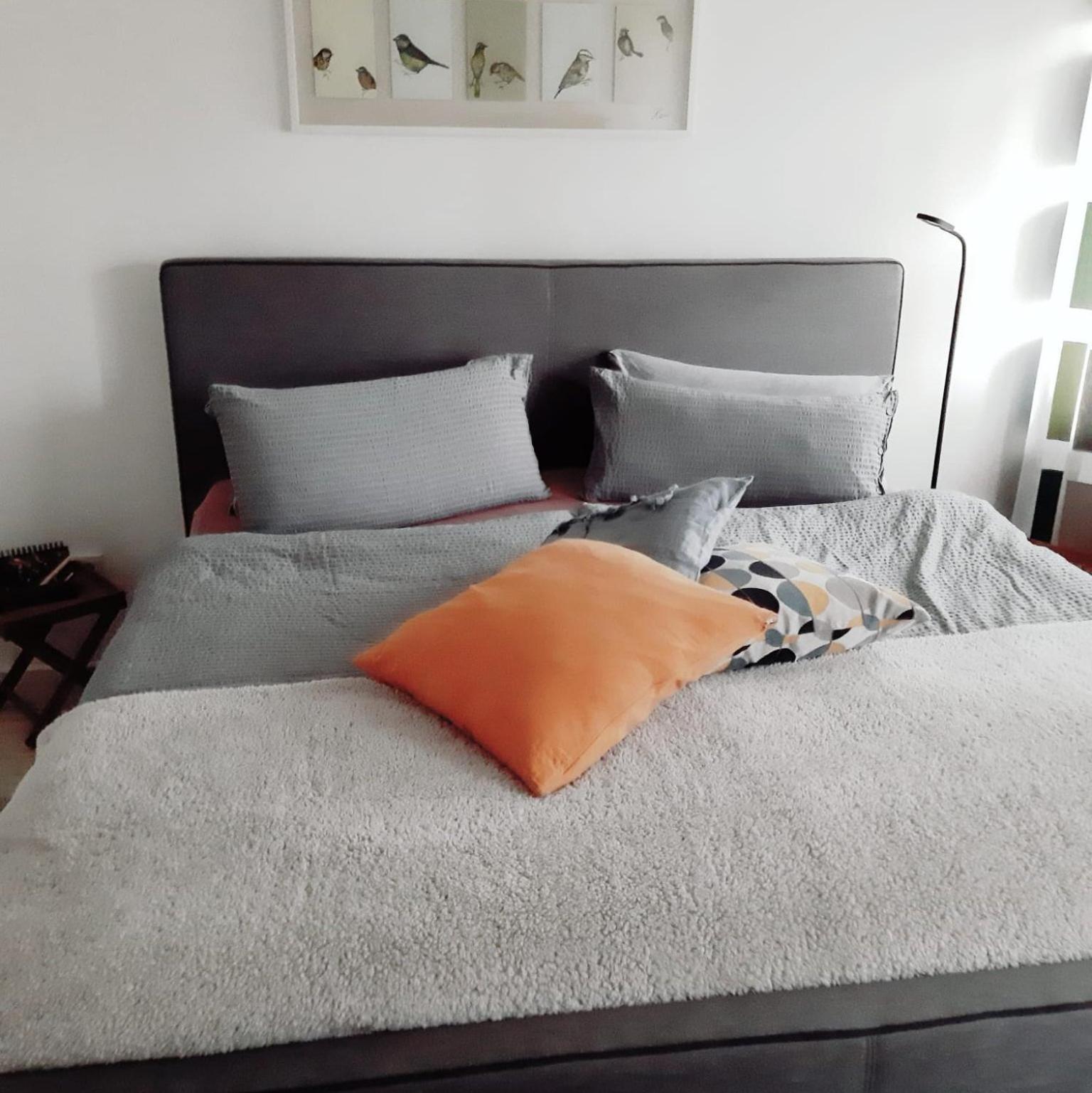 Wiedhoehen Ferienwohnung Roßbach Dış mekan fotoğraf