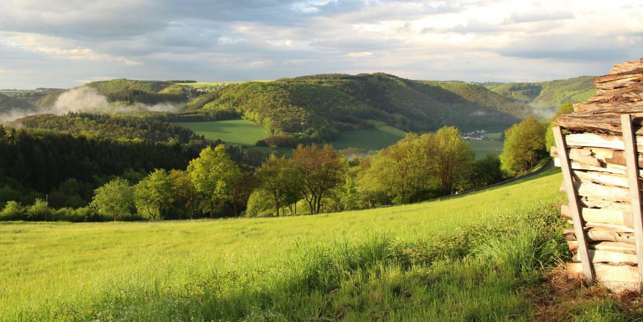 Wiedhoehen Ferienwohnung Roßbach Dış mekan fotoğraf