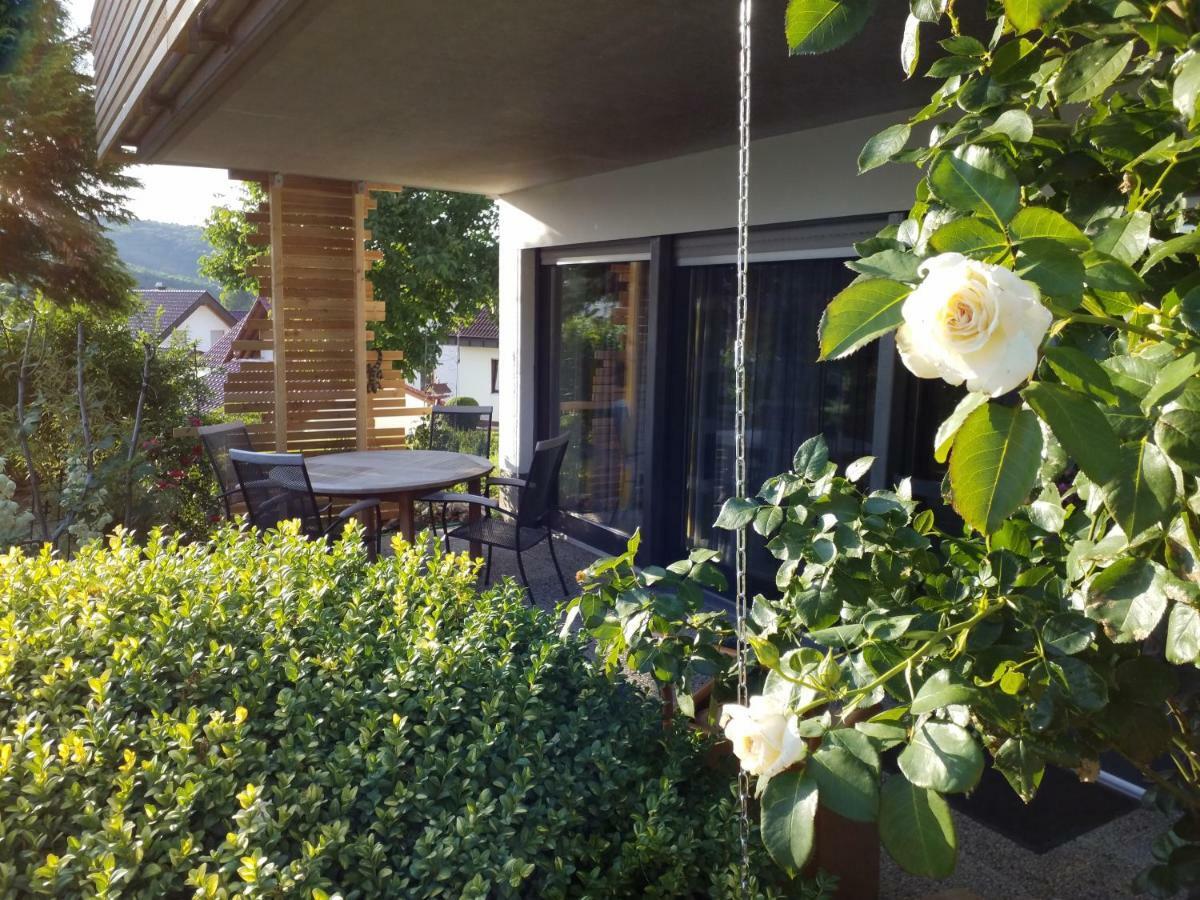 Wiedhoehen Ferienwohnung Roßbach Dış mekan fotoğraf
